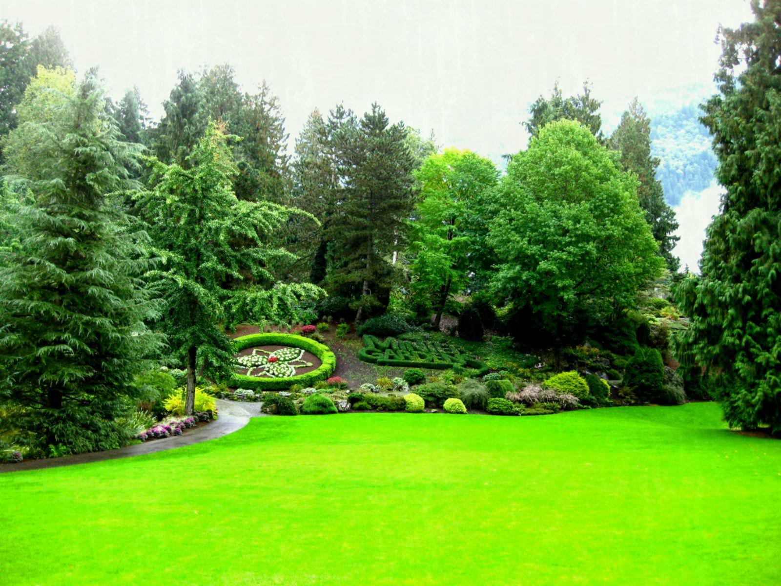 Green Garden Wallpaper Free Download Wonderful Cool - Green Garden Images  Download - 1600x1200 Wallpaper 