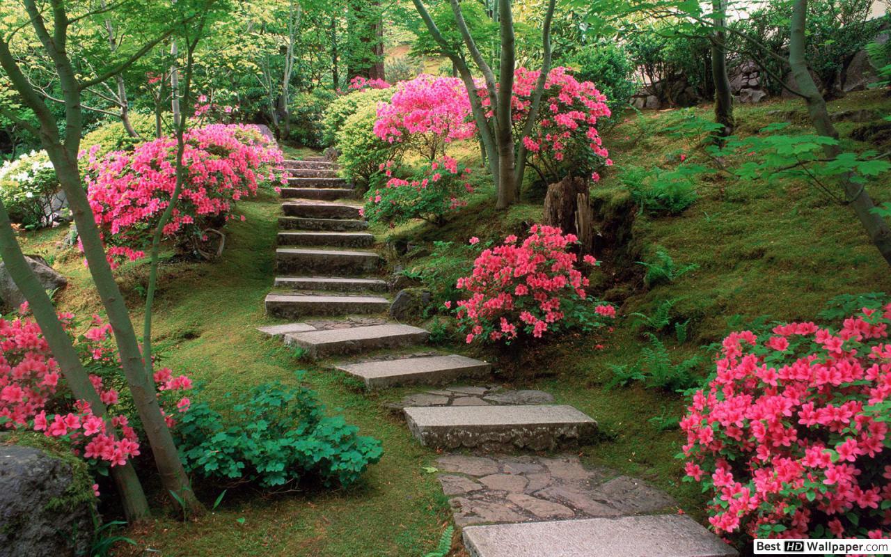 Japanese Garden With Flowers - HD Wallpaper 