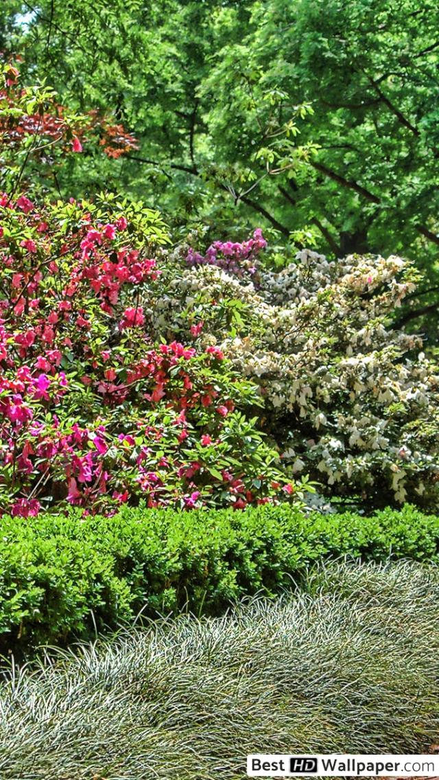 Garden Path - HD Wallpaper 