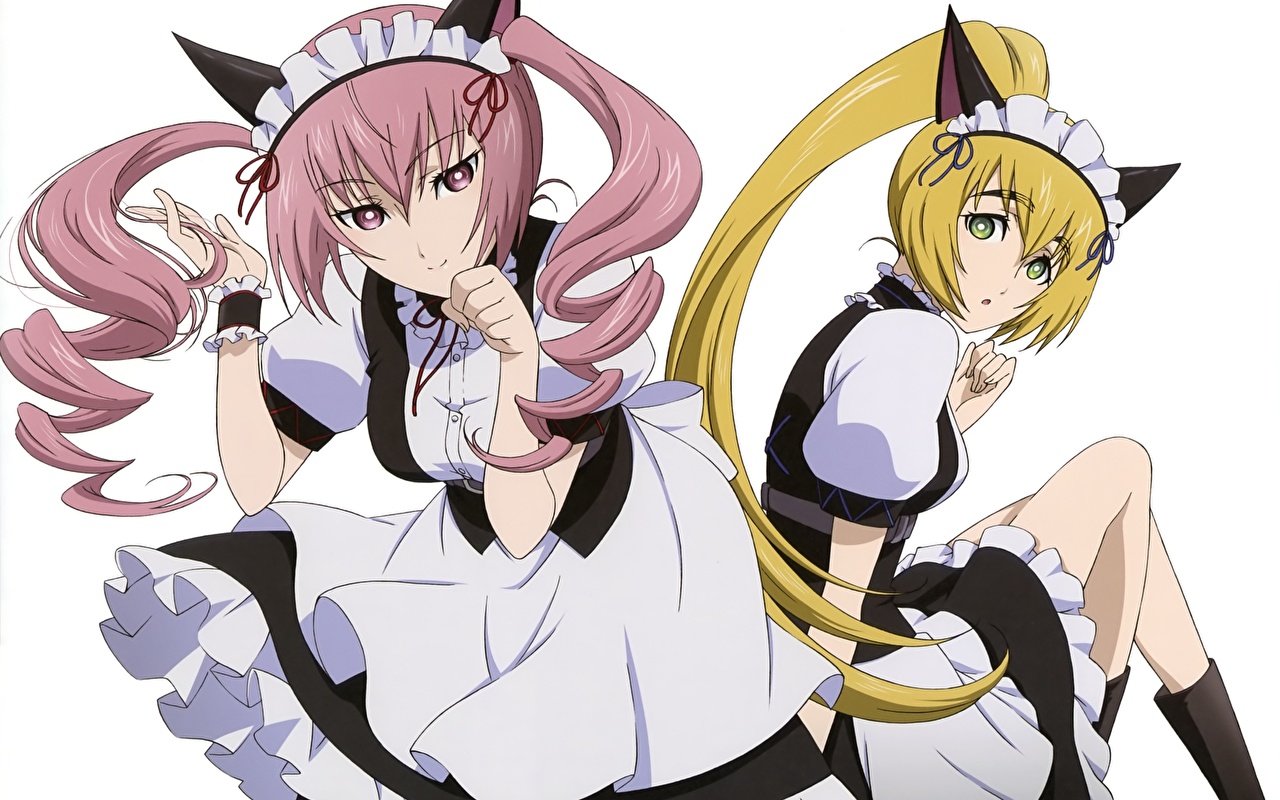 Anime Gate - Steins Gate Faris Nyannyan - HD Wallpaper 