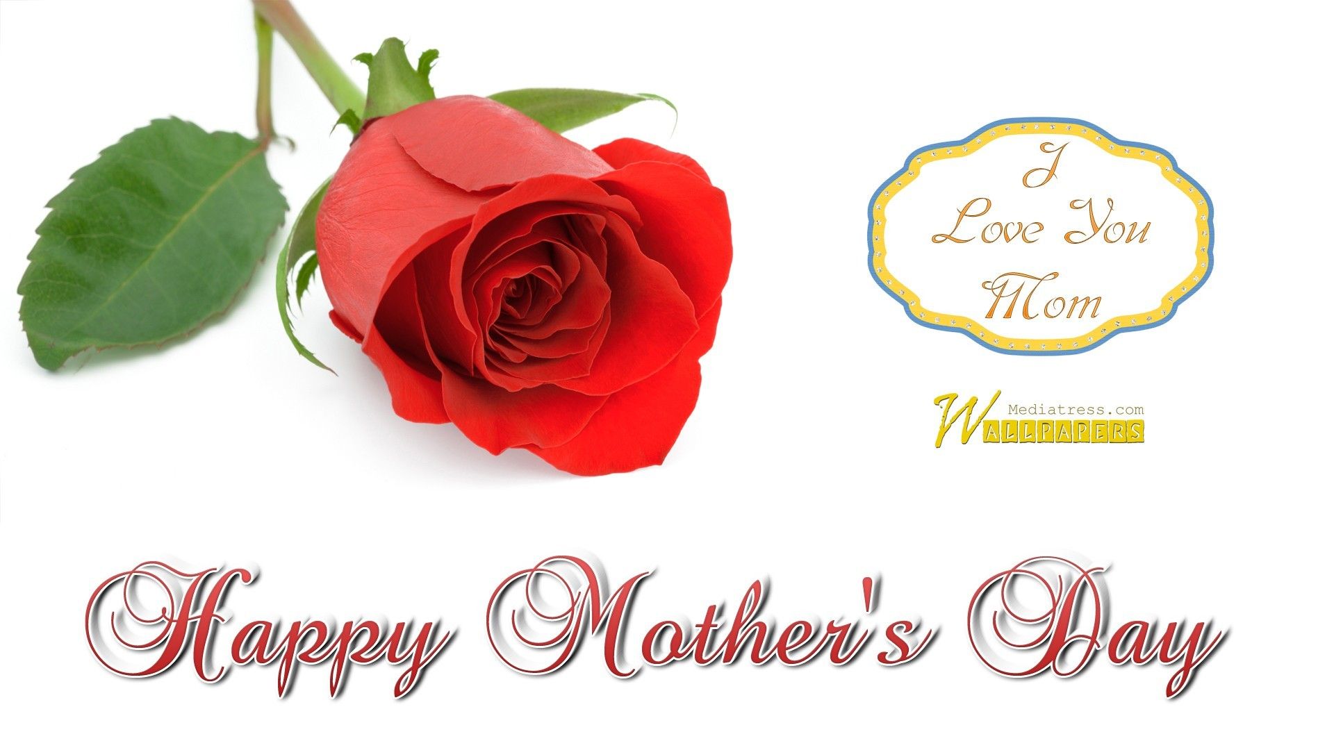 Rose Day 2012 - HD Wallpaper 