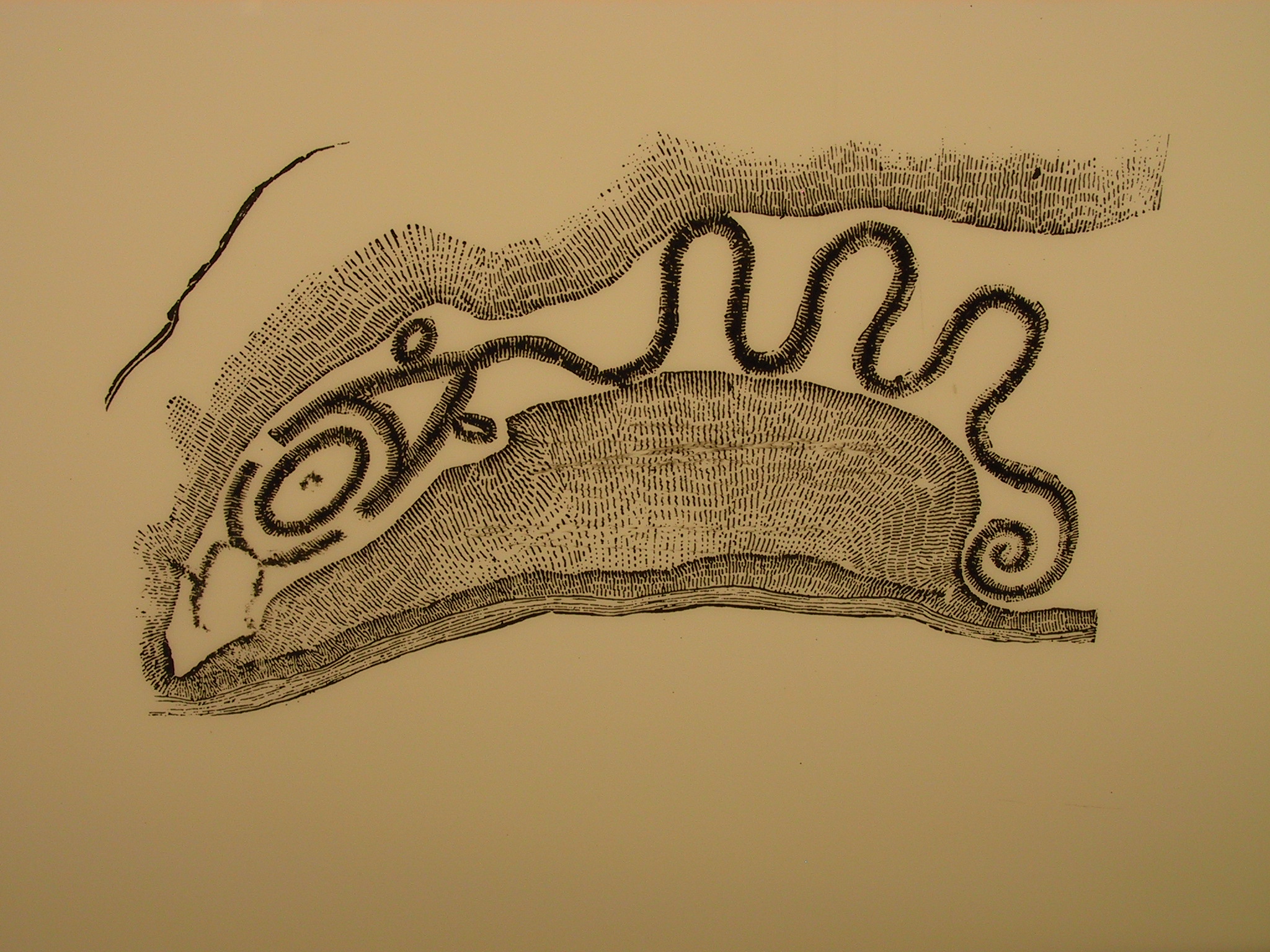 Great Serpent Mound Drawing - HD Wallpaper 