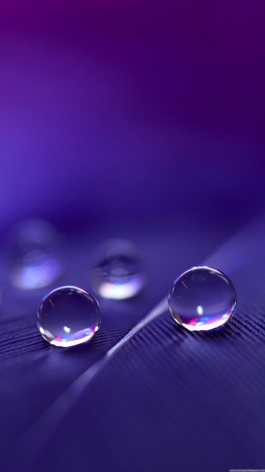 Purple Water Droplets Backgrounds - HD Wallpaper 