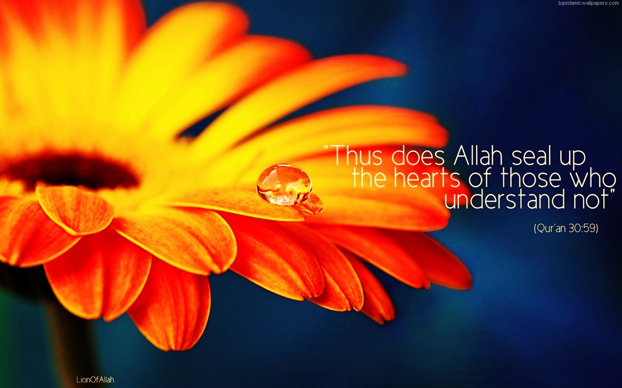 Beautiful Islamic Pictures Wallpapers - Beautiful Islamic Quotes Download - HD Wallpaper 