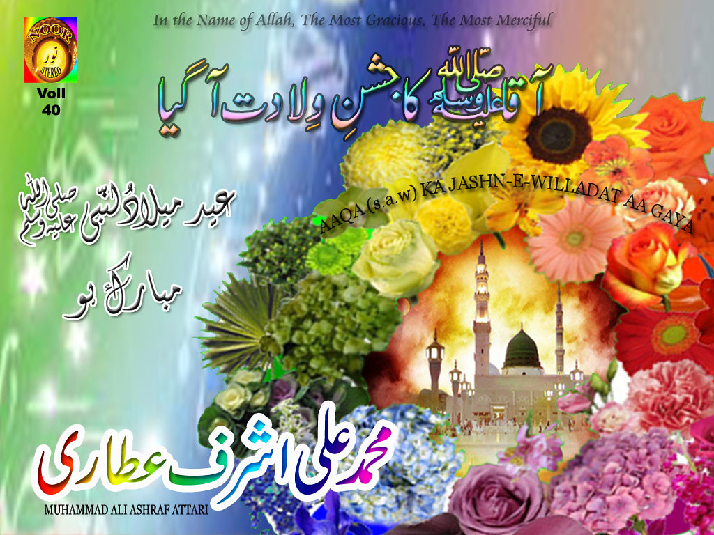 Sunflower - HD Wallpaper 