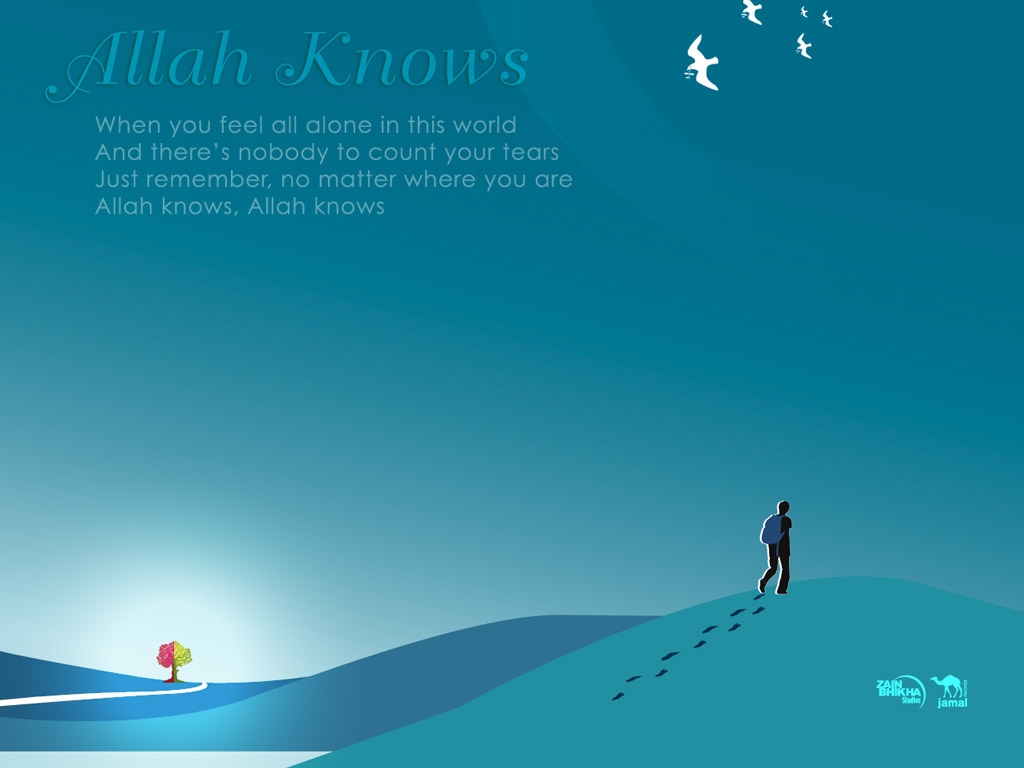 Muslim Picture - You Feel All Alone In This World Allah Knows - HD Wallpaper 
