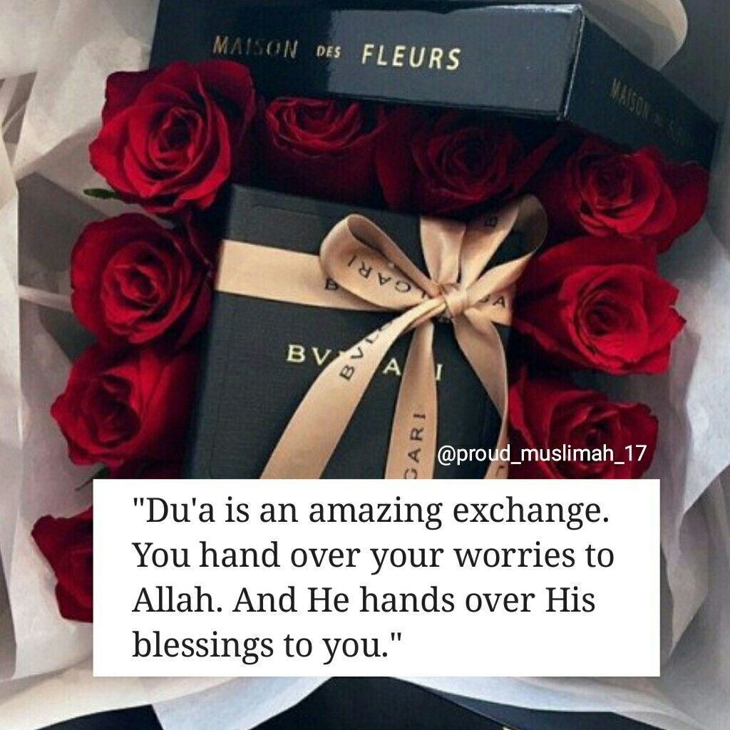 Luxury Gift Roses - HD Wallpaper 