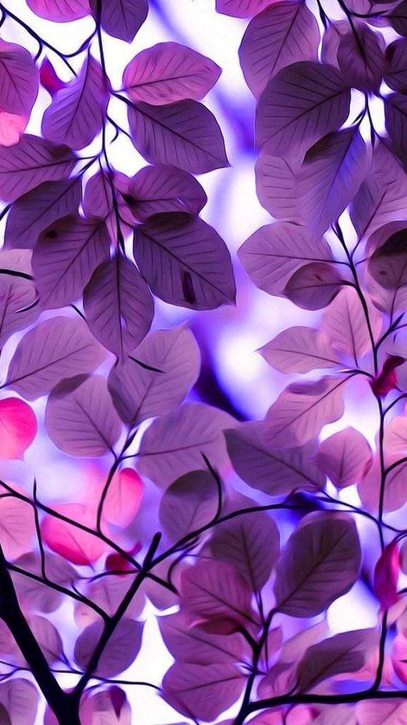 Wallpaper Moslem High Resolution X Hd For Iphone - Beautiful Wallpapers