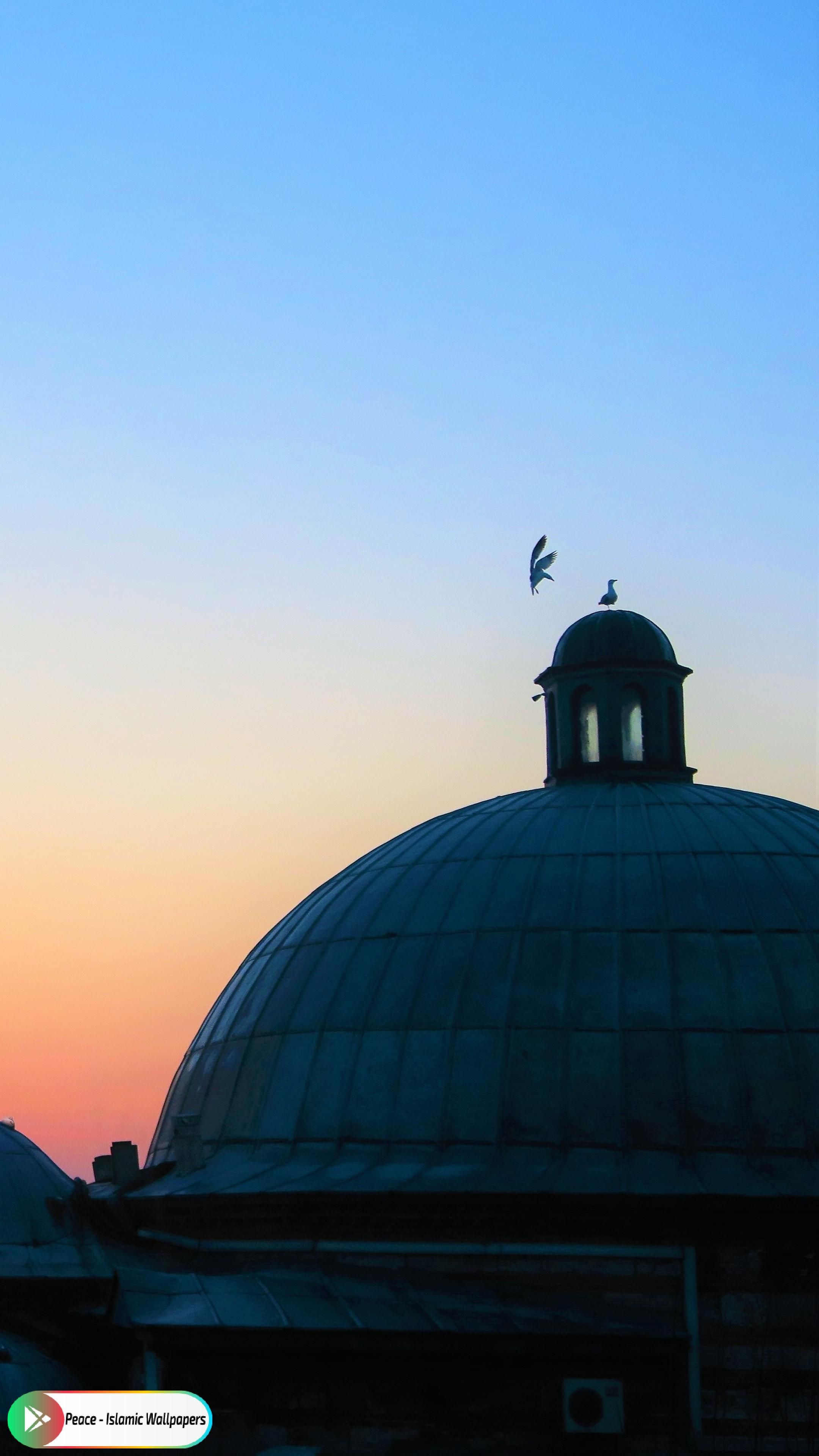 Dome - 2160x3840 Wallpaper - teahub.io