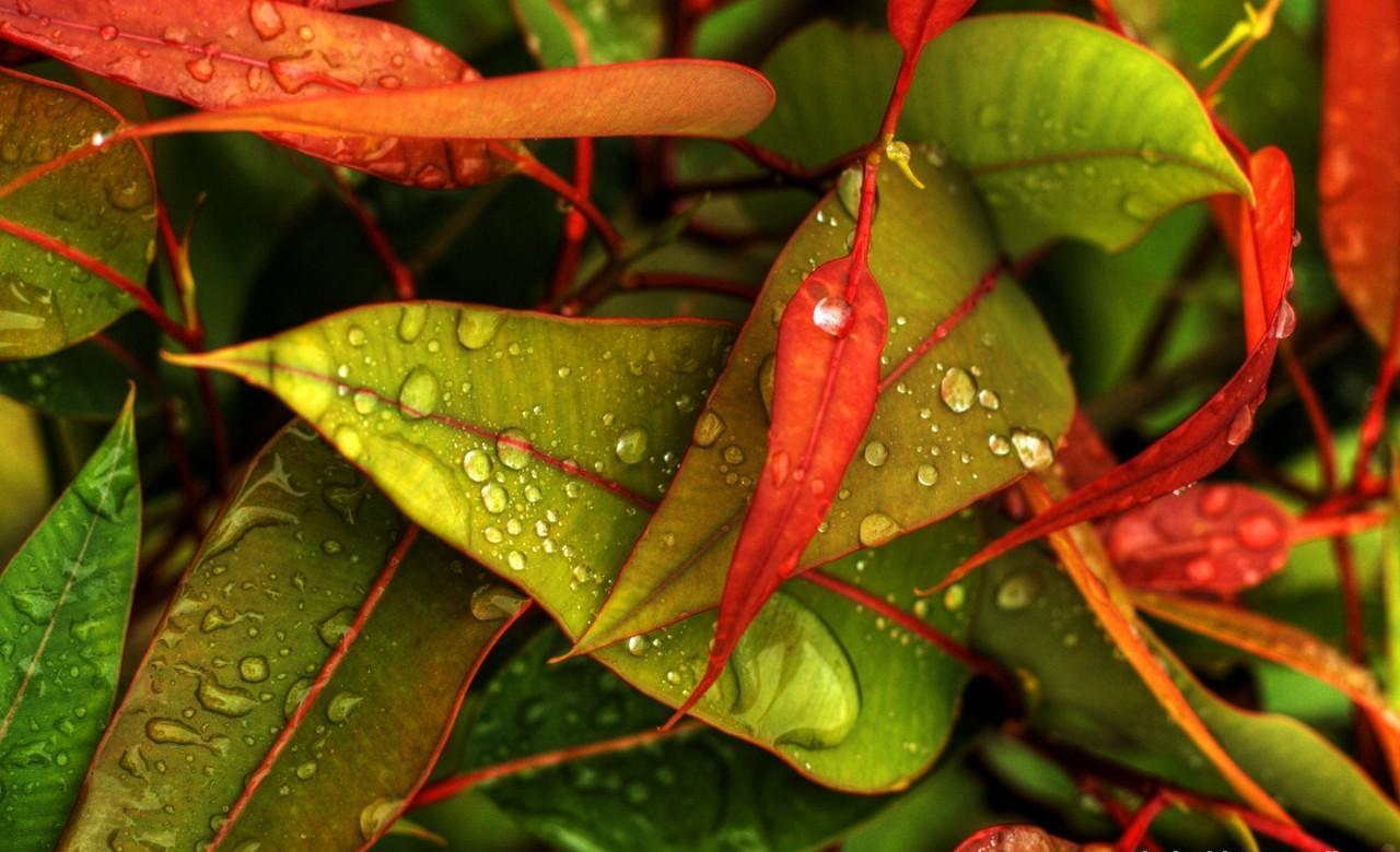Beautiful-wallpapers - Pc Beautiful Wallpapers Download - 1280x780 Wallpaper Beautiful-wallpapers - Pc Beautiful Wallpapers Download - 1280x780 Wallpaper