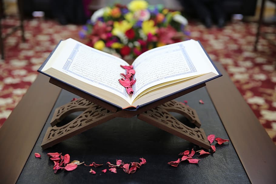 Reading Qur - HD Wallpaper 