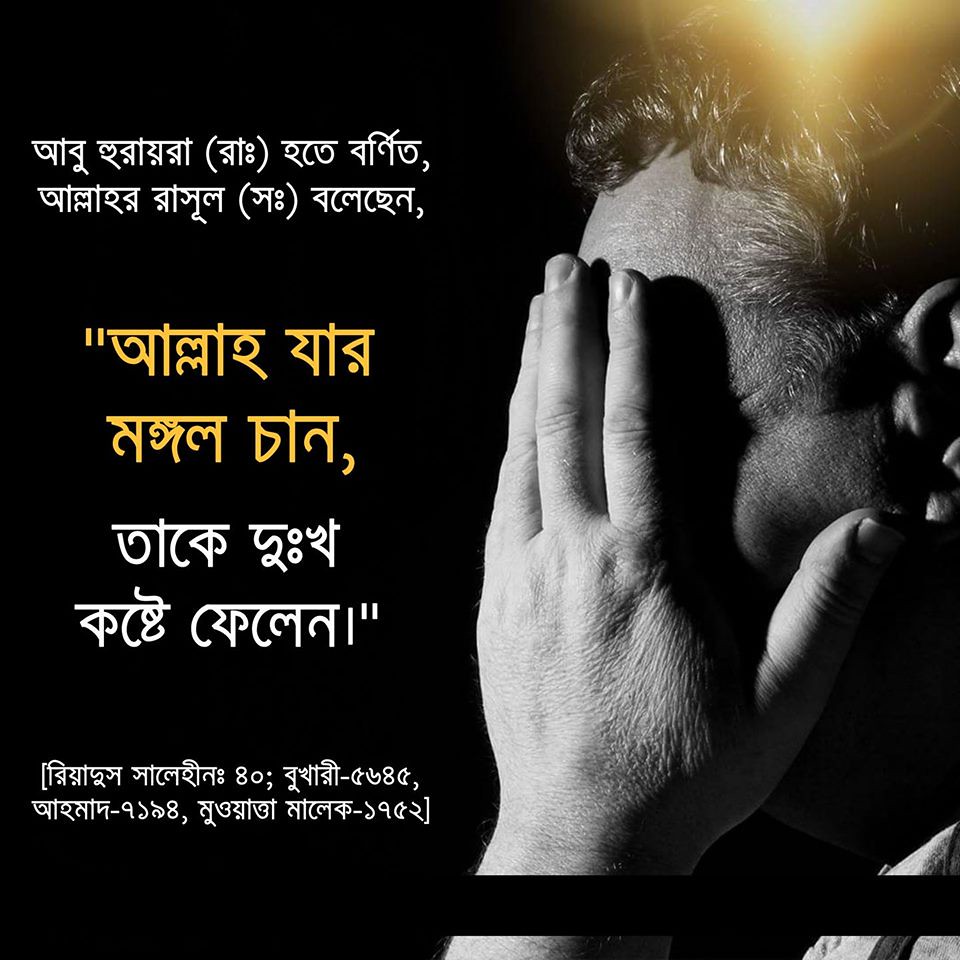 Poster - HD Wallpaper 