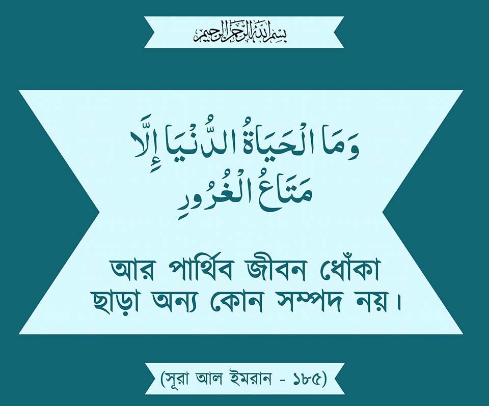 Paper - HD Wallpaper 