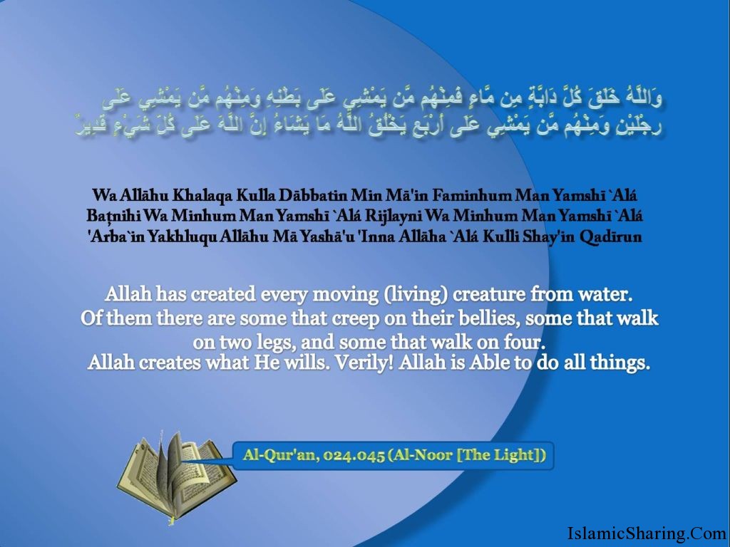 To Download This Image, Right Click On It And Choose - Save Water In Islam - HD Wallpaper 