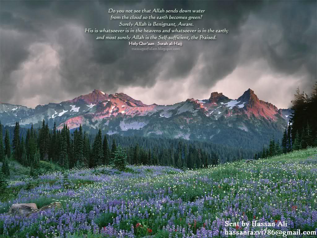 Islamic Wallpaper Tumblr - Mount Rainier, Camp Muir - HD Wallpaper 