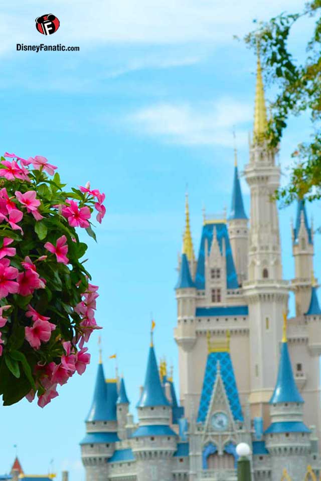 Disney World, Cinderella Castle - HD Wallpaper 