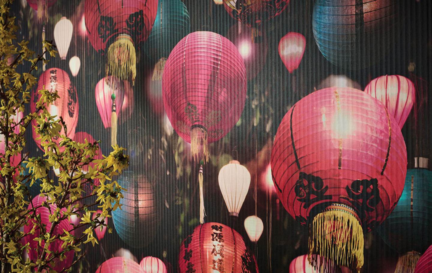 Mid-autumn Festival - HD Wallpaper 