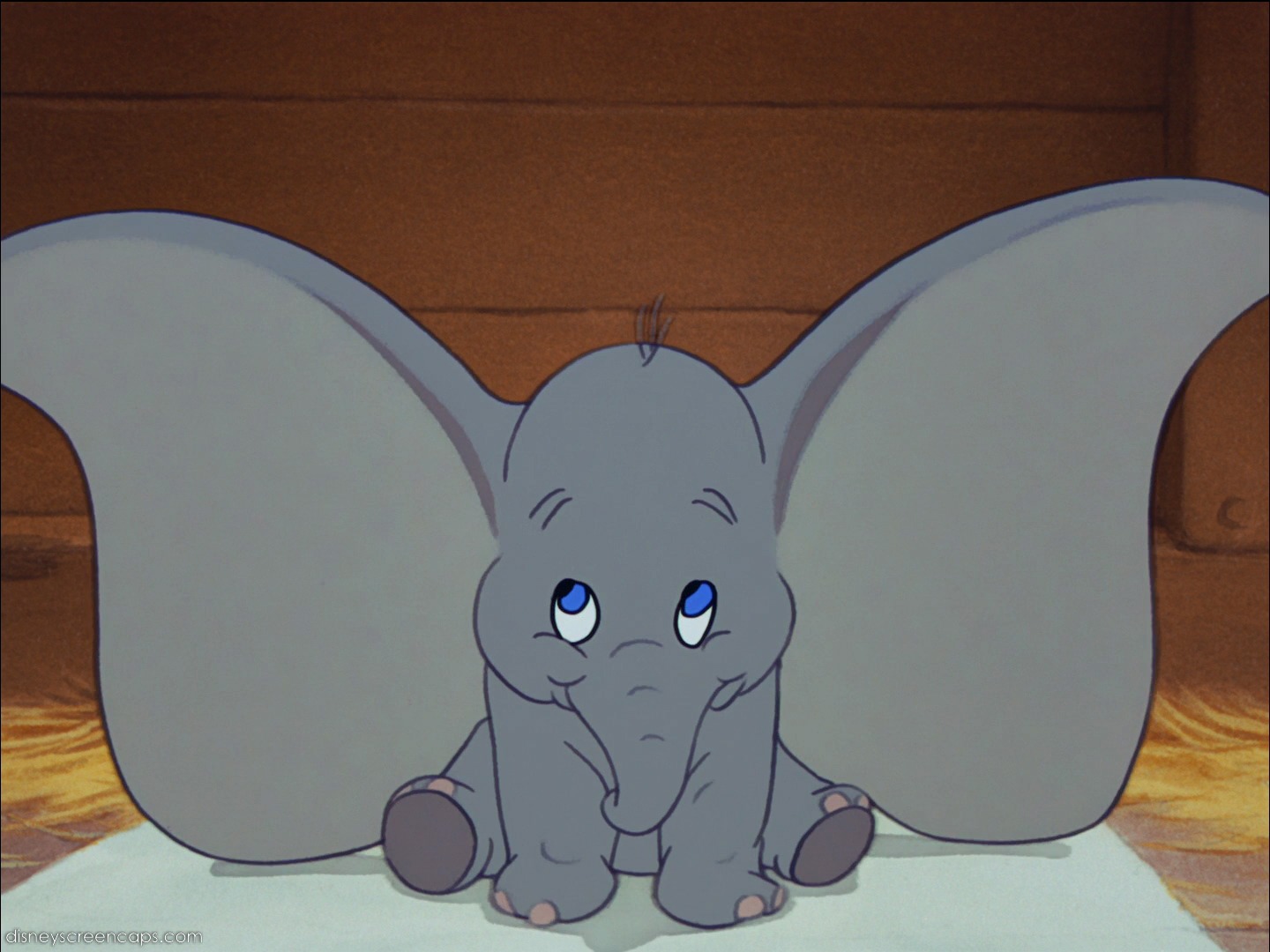 Dumbo The Elephant - HD Wallpaper 