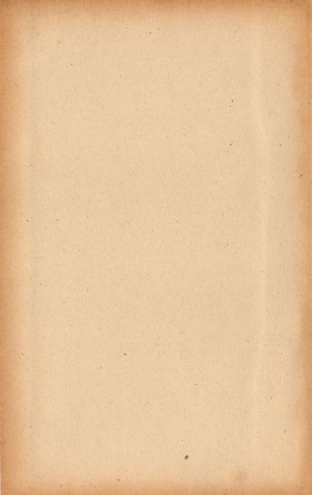 Khaki - HD Wallpaper 