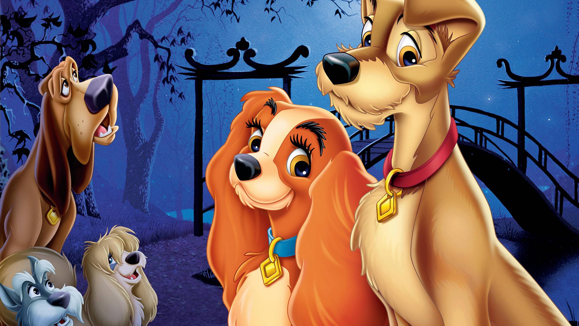 Lady And The Tramp 2019 News - HD Wallpaper 