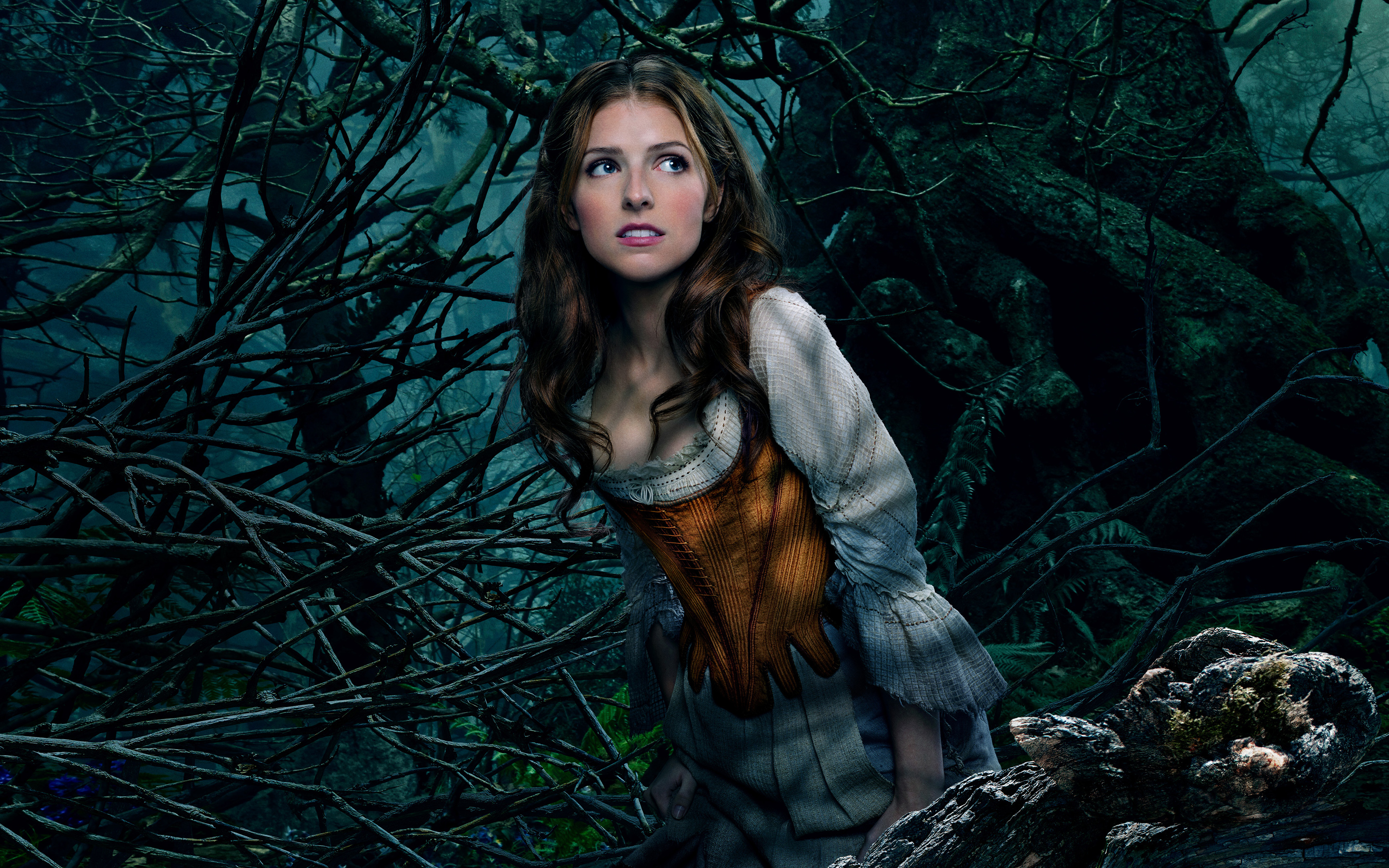 Anna Kendrick As Cinderella Wallpaper - Anna Kendrick Into The Woods - HD Wallpaper 