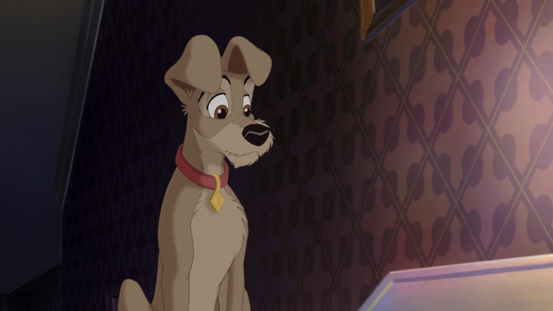 Lady And The Tramp 2 Tramp - HD Wallpaper 