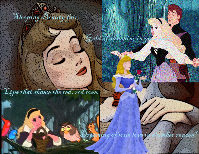 Disney Princess Sleeping Beauty - One More Sleep Til Disney - HD Wallpaper 