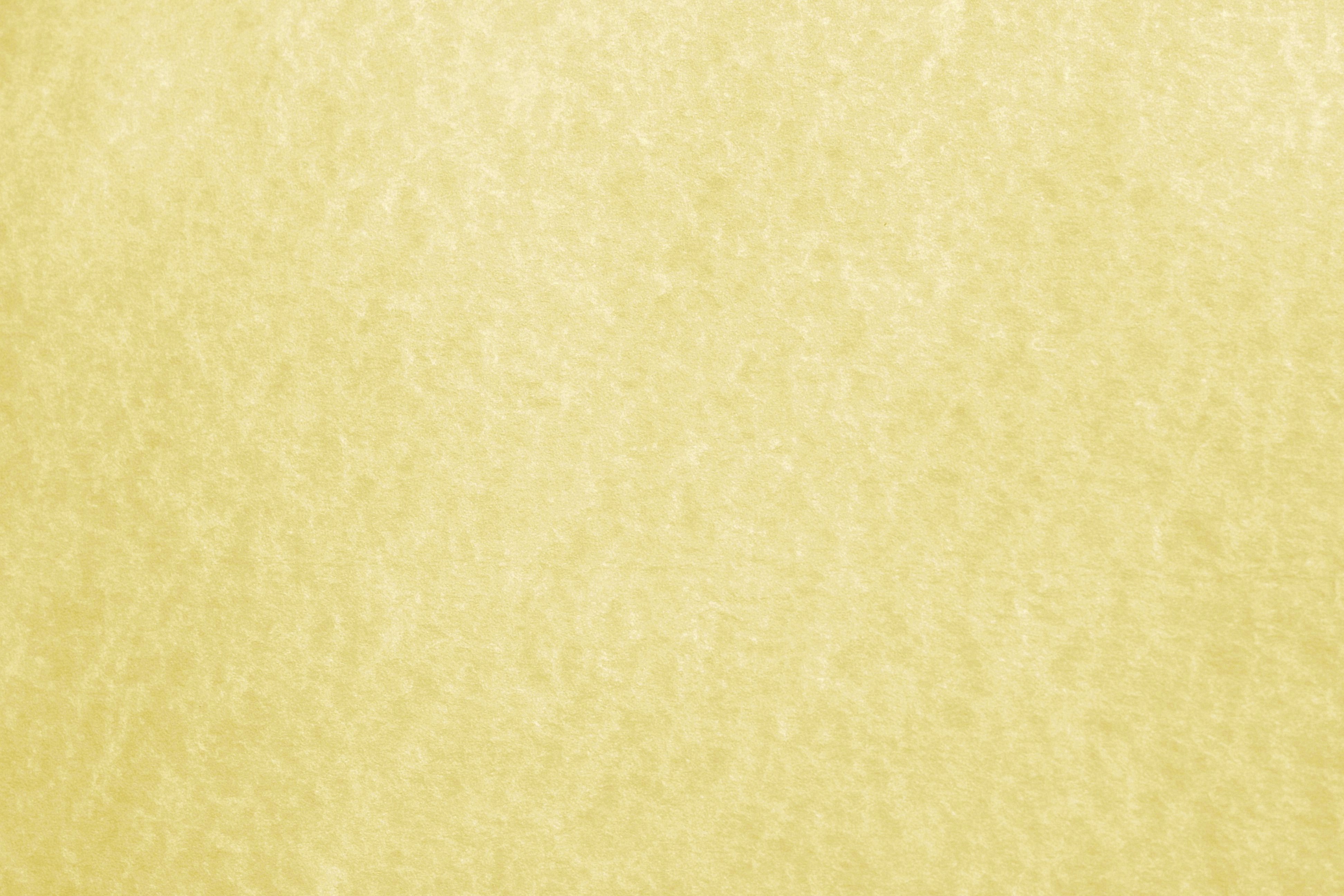 High Resolution Parchment Paper Texture - HD Wallpaper 