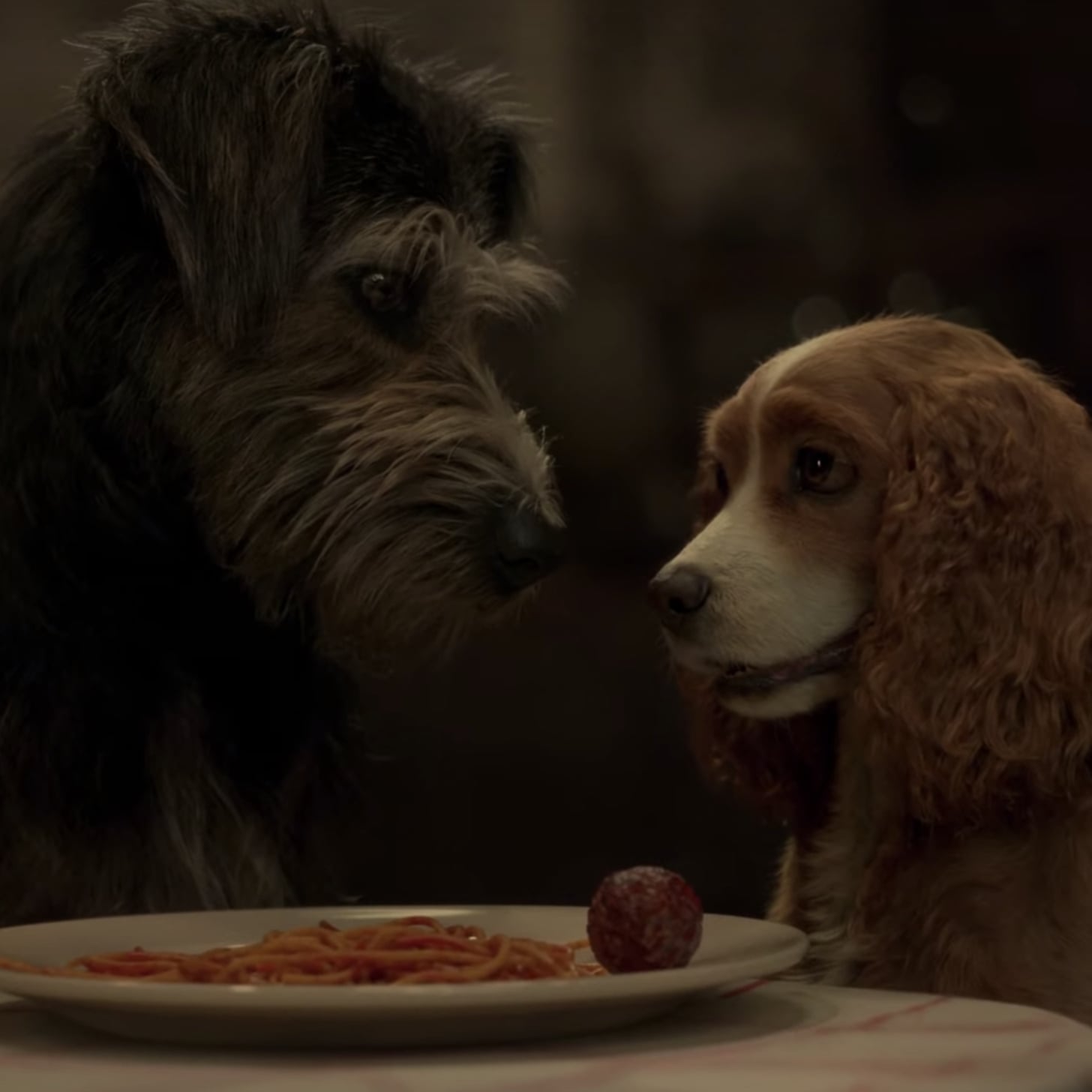 Lady And The Tramp Live Action Poster - HD Wallpaper 