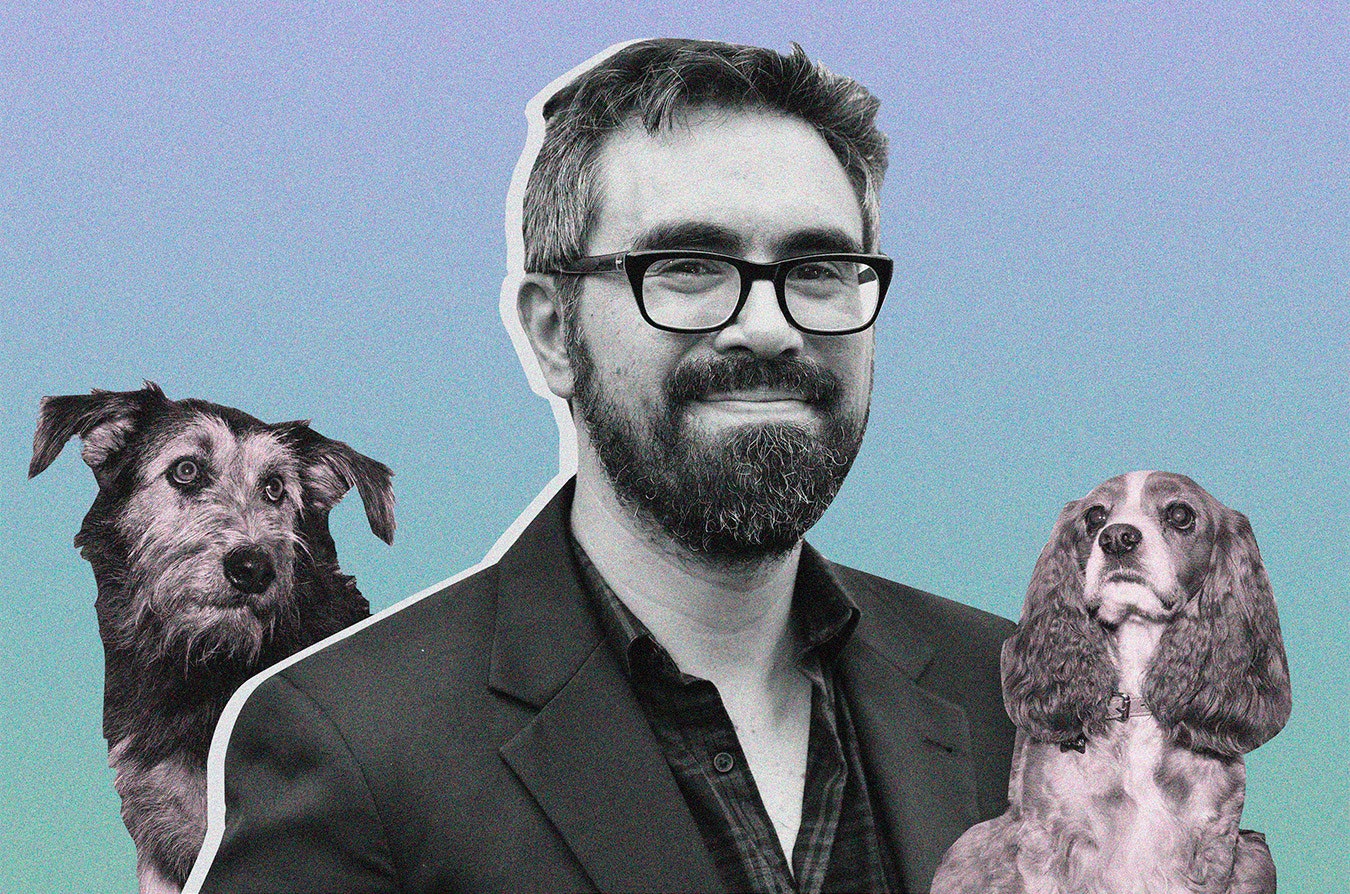 Cocker Spaniel - HD Wallpaper 