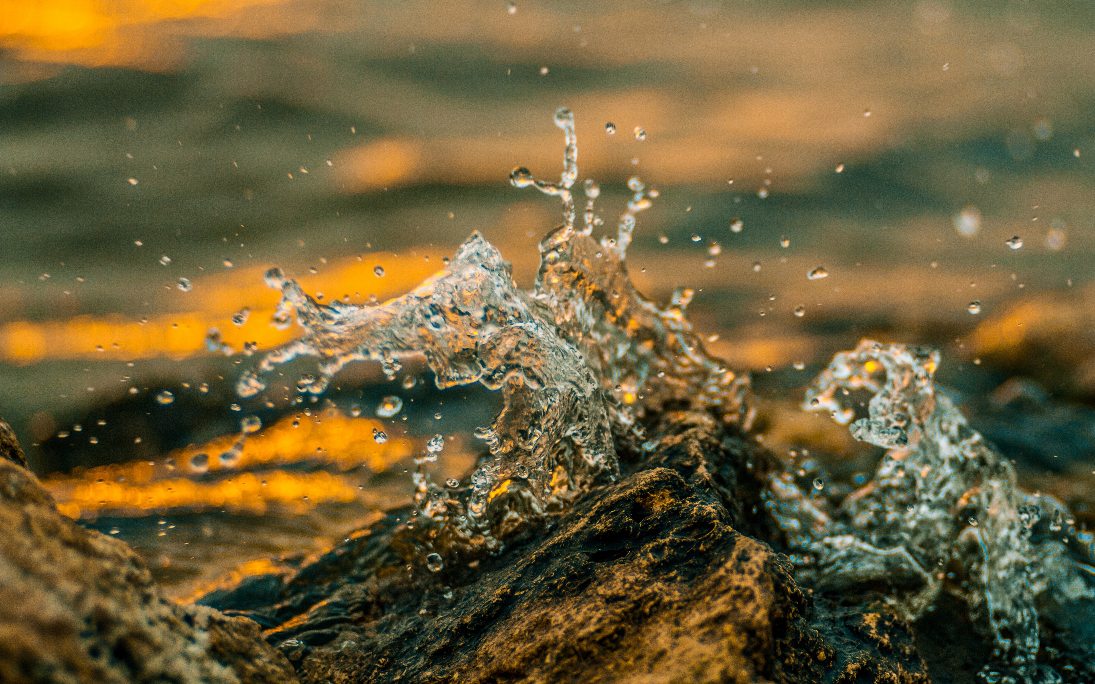 Wallpaper Water, Splash, Spray, Drops, Macro - Wallpaper - HD Wallpaper 