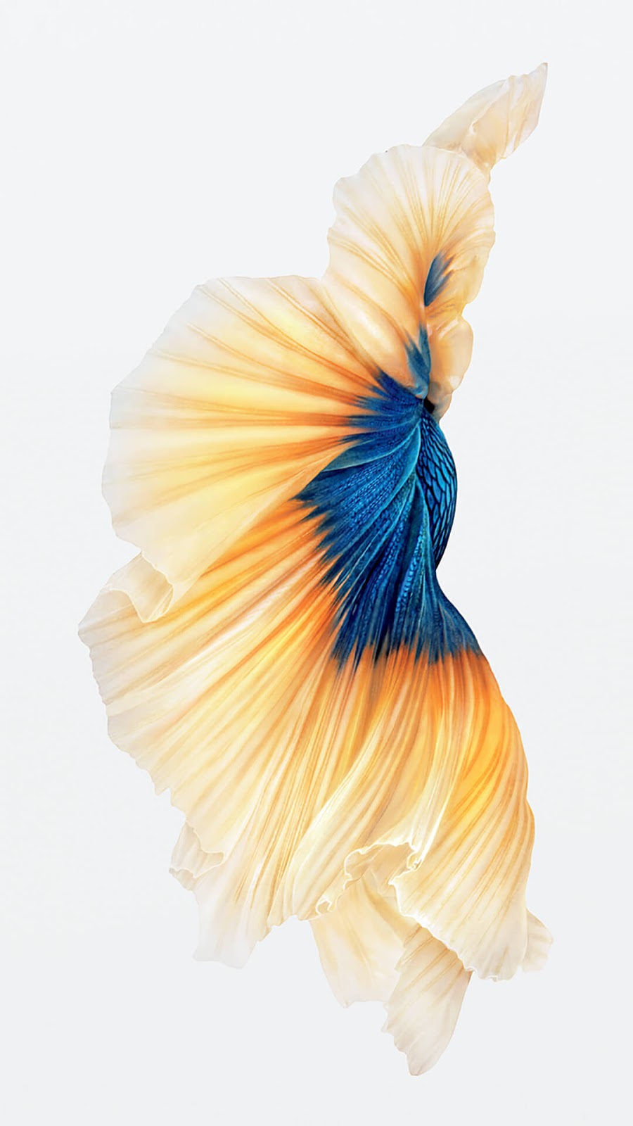 Ios 10 Iphone 7 And Iphone 7 Plus Hd Wallpaper - Fond D Écran Iphone 6s - 900x1600 Wallpaper Ios 10 Iphone 7 And Iphone 7 Plus Hd Wallpaper - Fond D Écran Iphone 6s - 900x1600 Wallpaper