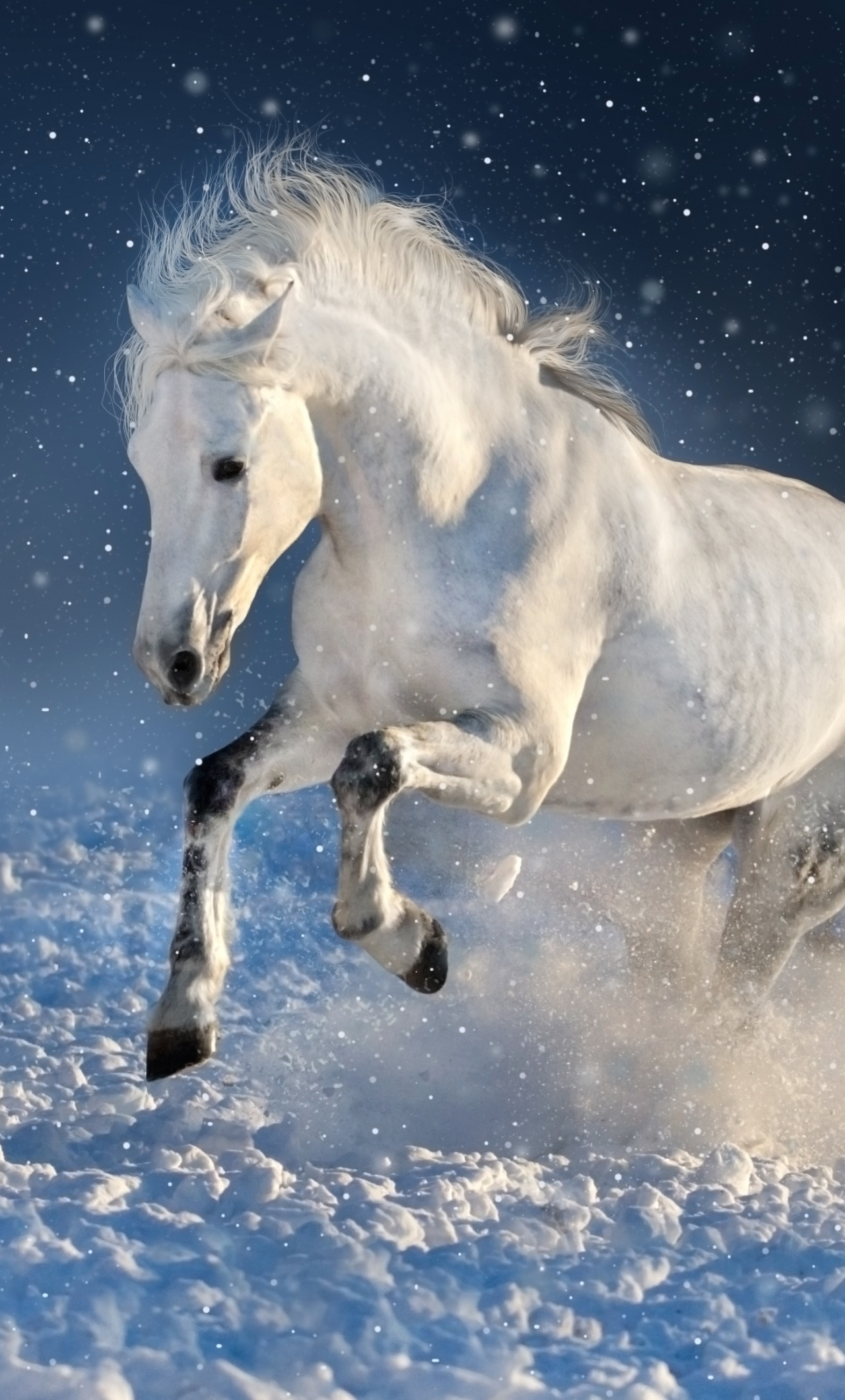 White Horse, Run, Mammal, Portrait, Wallpaper - Iphone 7 Horse Wallpaper Iphone - 1280x2120 Wallpaper White Horse, Run, Mammal, Portrait, Wallpaper - Iphone 7 Horse Wallpaper Iphone - 1280x2120 Wallpaper
