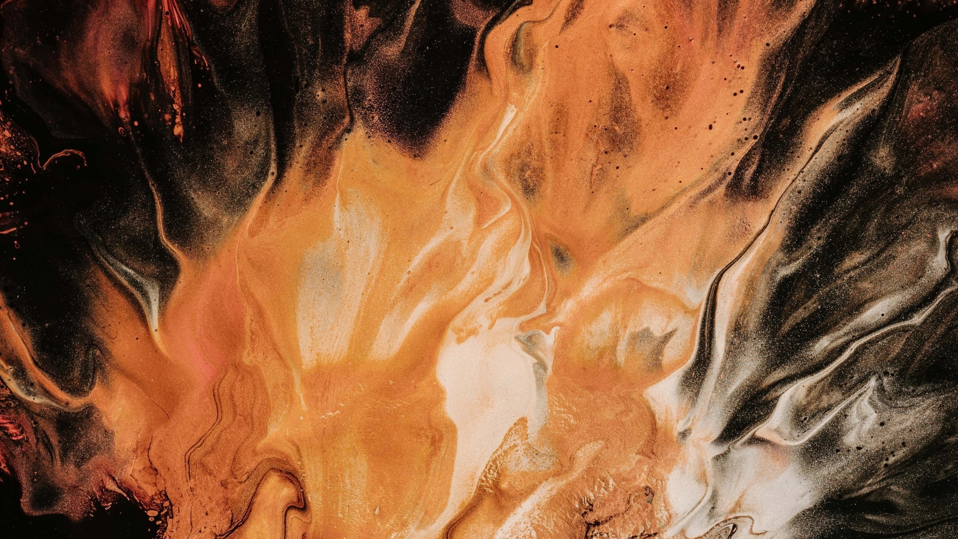 Wallpaper - HD Wallpaper 