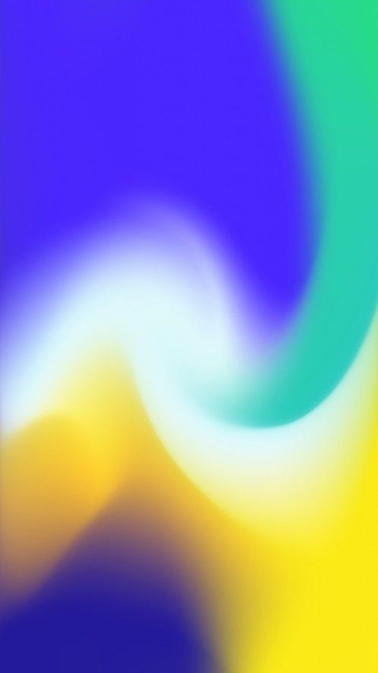 Macro Photography - HD Wallpaper 