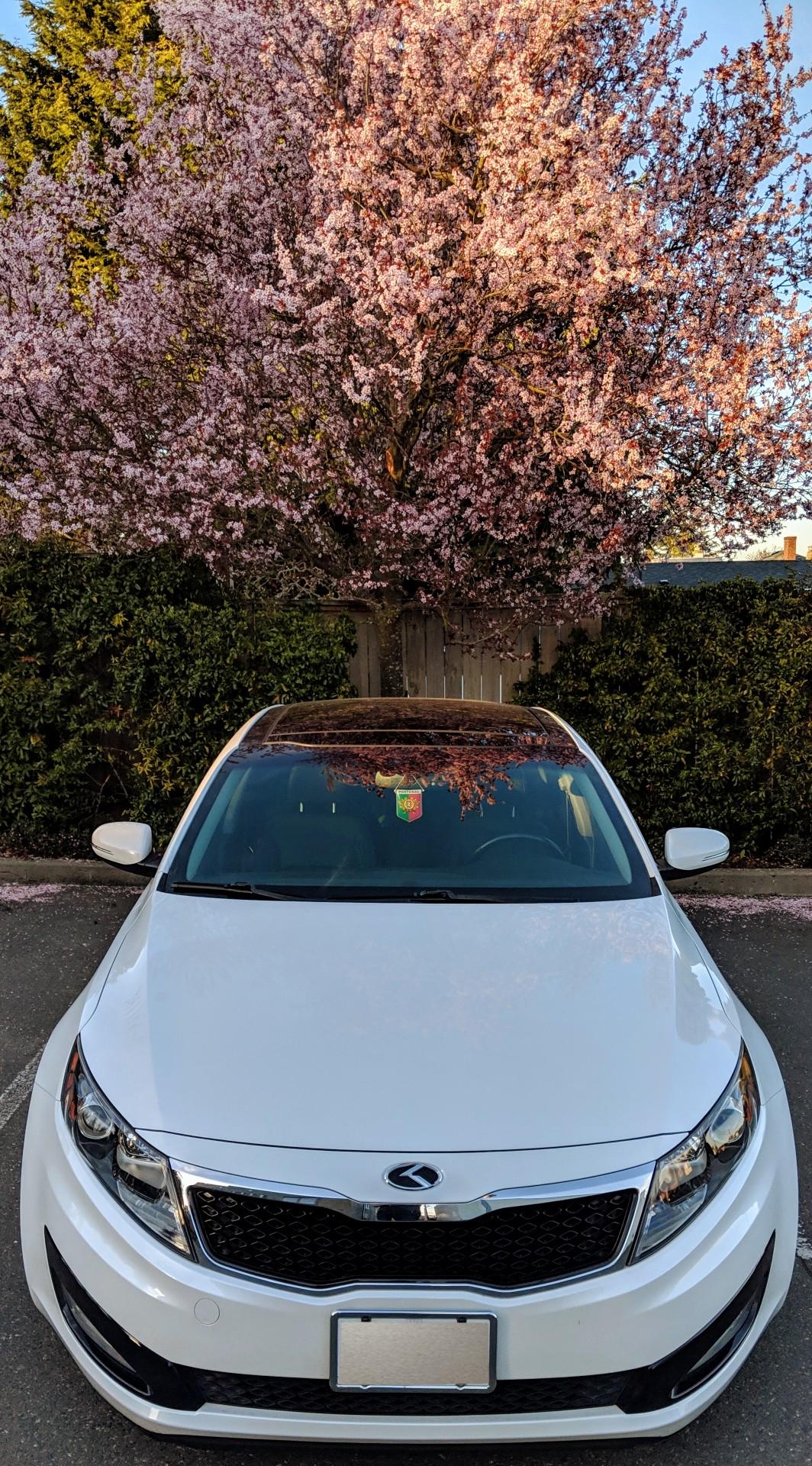 Kia Optima Wallpaper Mobile 1064x1921 Wallpaper Teahub Io