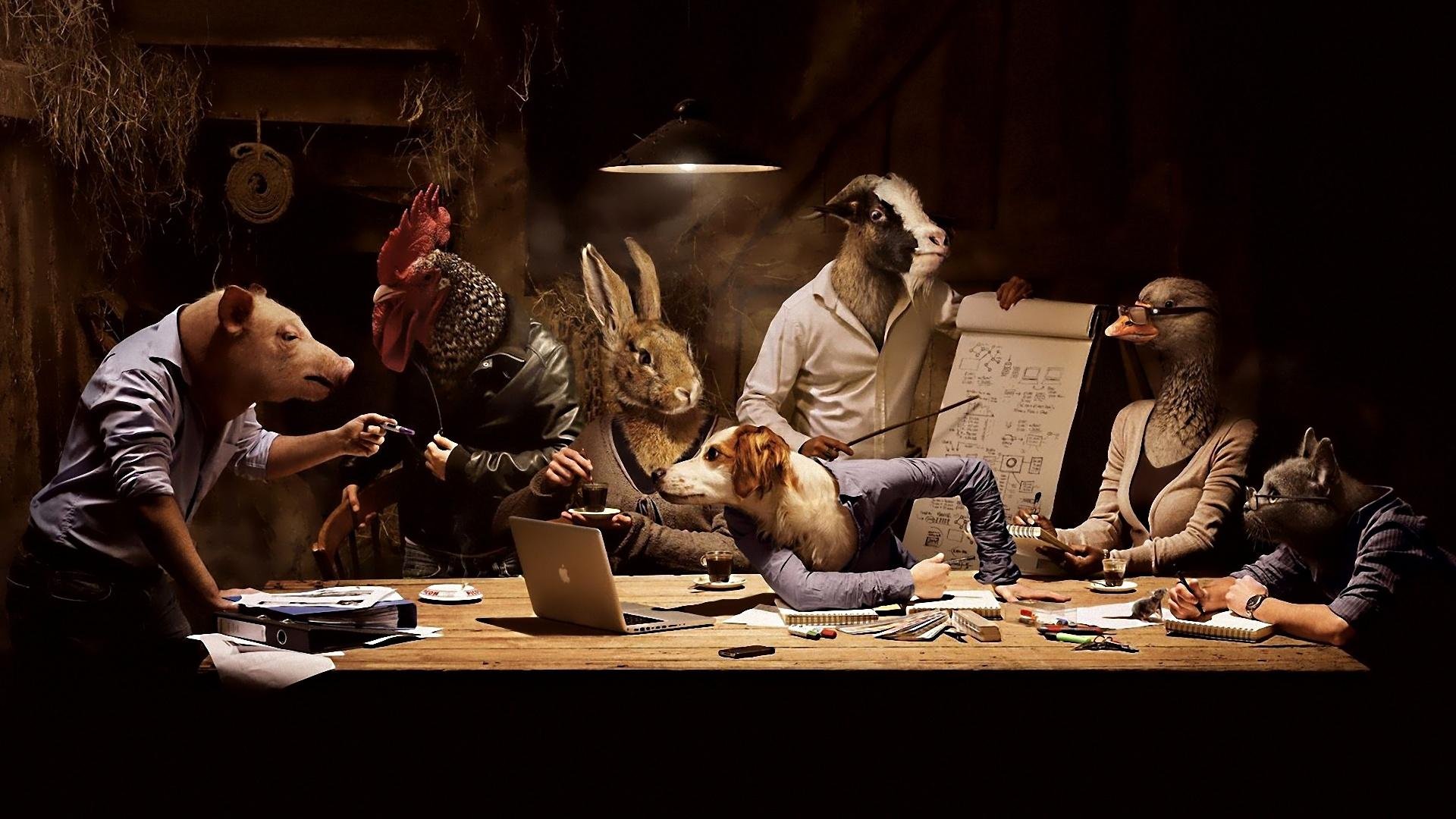 Working Hard Wallpaper - Animals At A Table - HD Wallpaper 