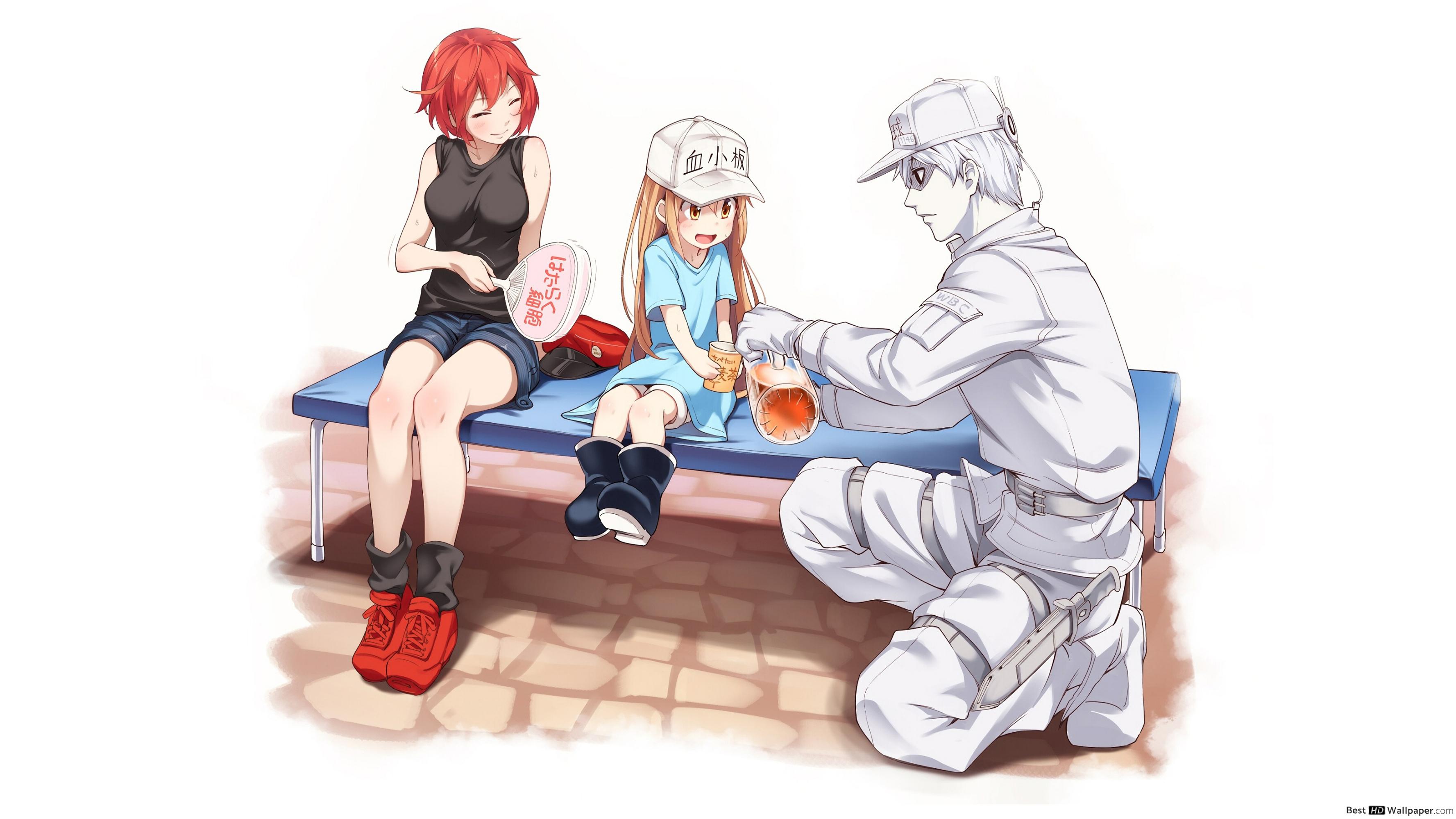 Cells At Work Red Blood Cell White Blood Cell - HD Wallpaper 
