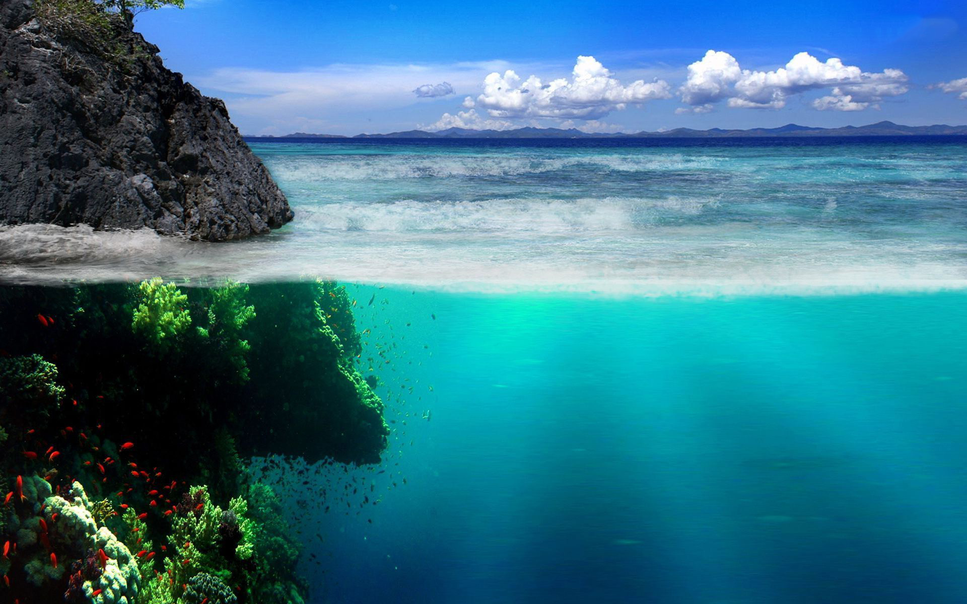 Underwater World Desktop Background - Tło Pulpitu Tapety Na Pulpit - HD Wallpaper 