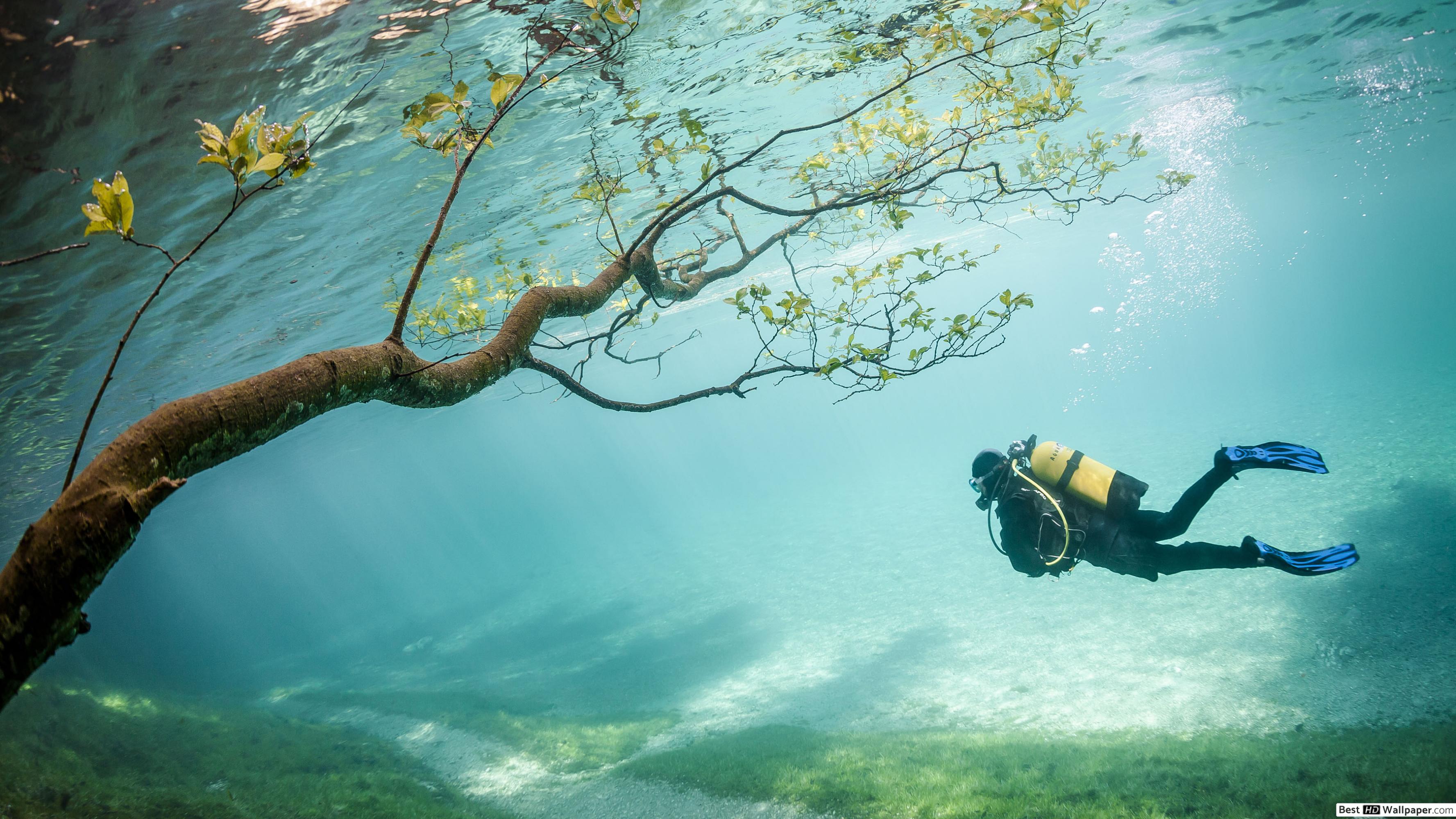 Scuba Diving Wallpaper Hd 3554x1999 Wallpaper Teahub Io
