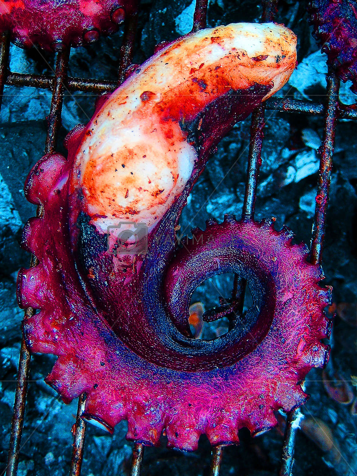Fishes And Octopus Summer Grill On The Beach Background - Still Life - HD Wallpaper 