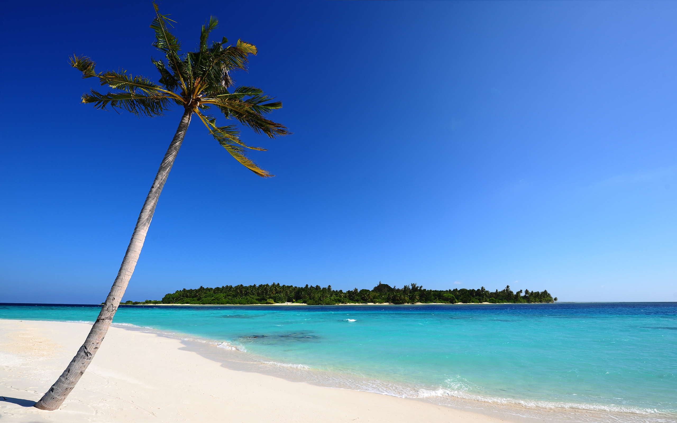 Beautiful Beach - HD Wallpaper 