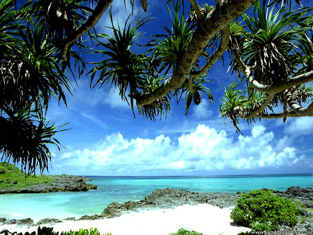 Tropical Beach - Okinawa Scenery - HD Wallpaper 