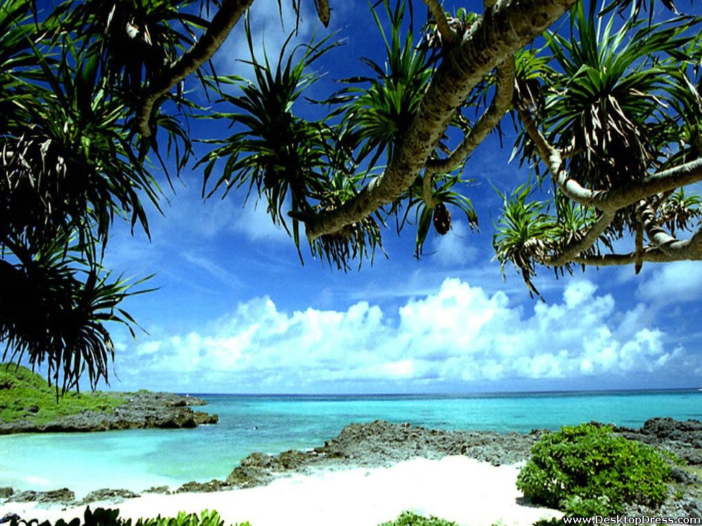 Tropical Beach Okinawa Scenery 1024x768 Wallpaper Teahub Io Tropical Beach Okinawa Scenery 1024x768 Wallpaper Teahub Io