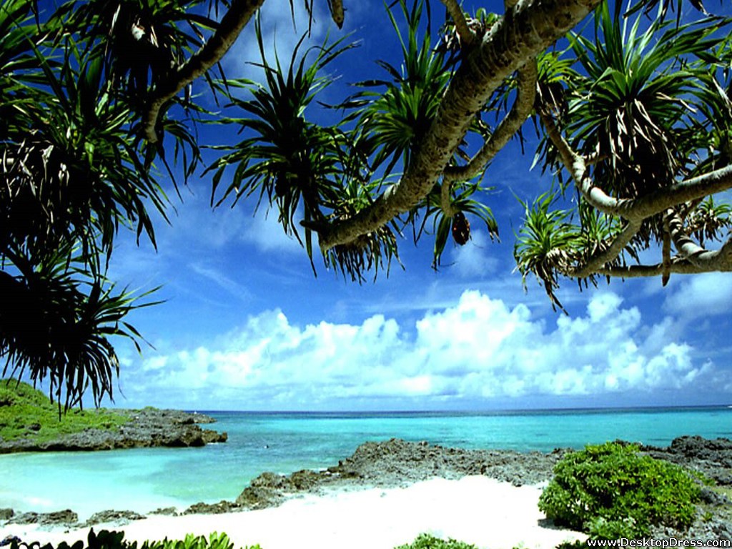 Tropical Beach Okinawa Scenery 1024x768 Wallpaper Teahub Io