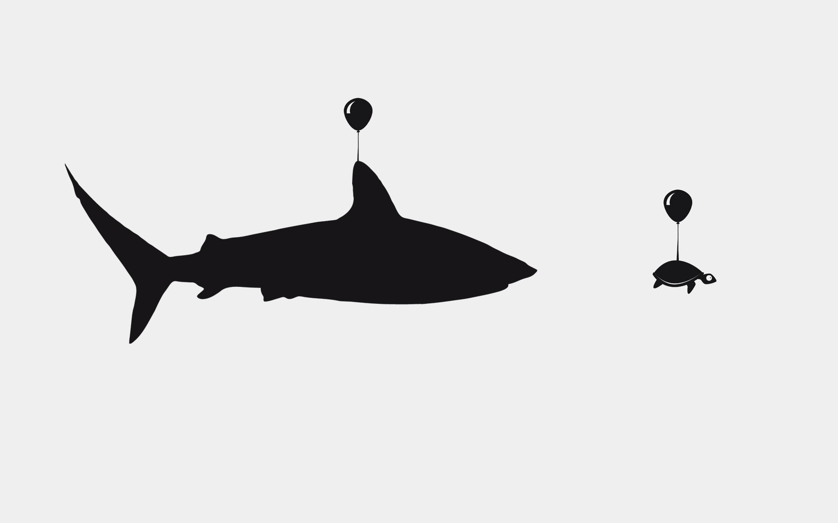 Shark - HD Wallpaper 