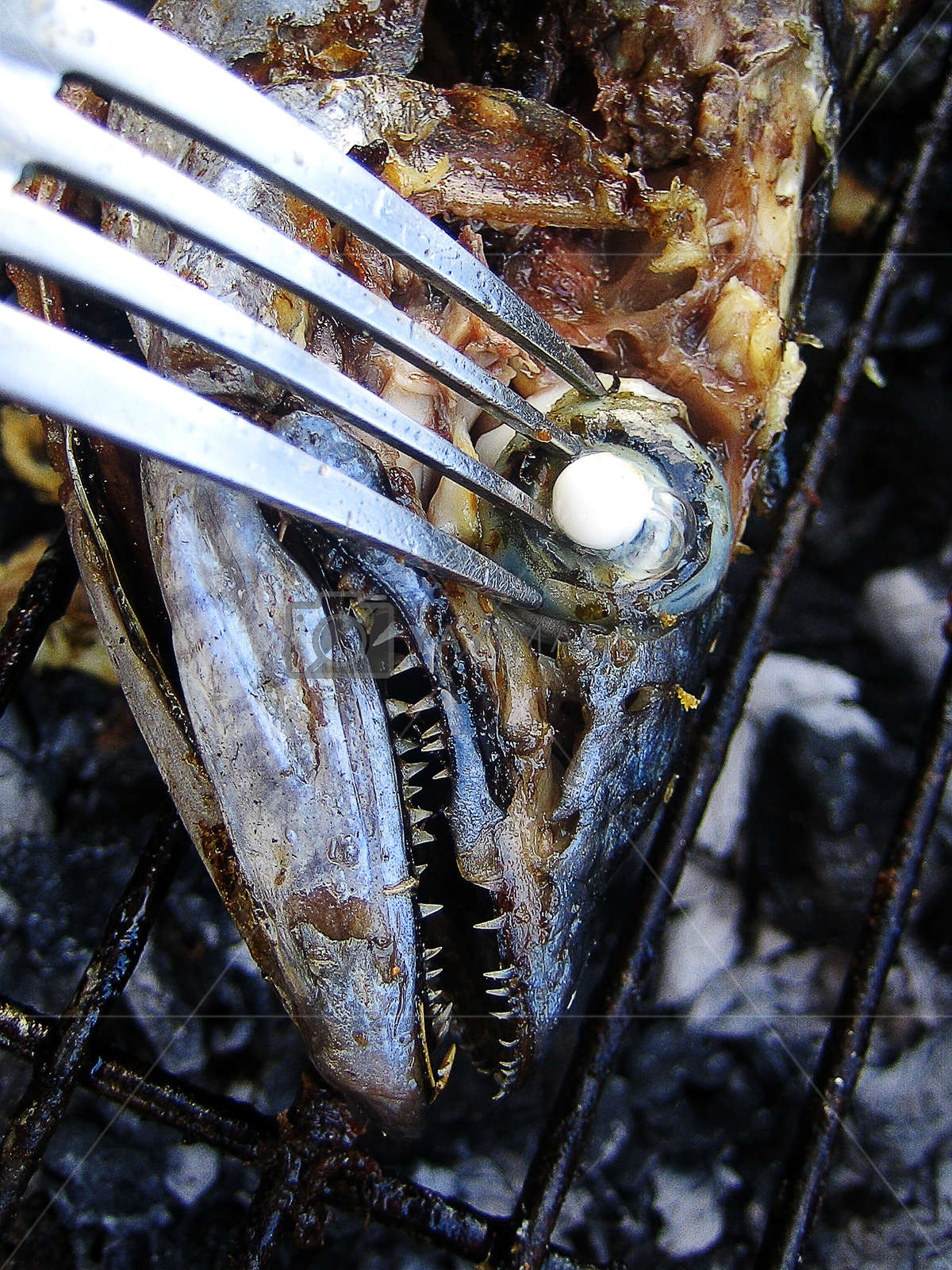 Fishes And Octopus Summer Grill On The Beach Background - Sardine - HD Wallpaper 
