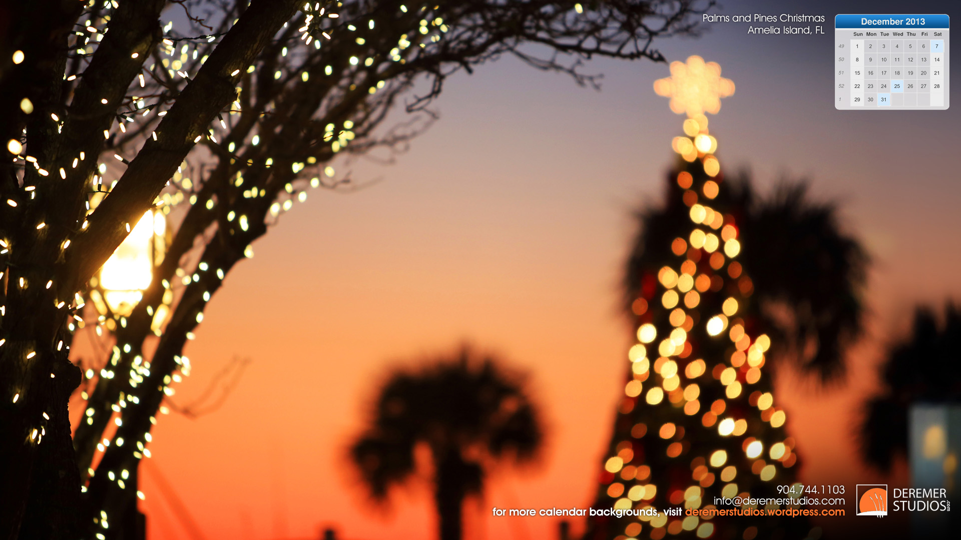 Florida Christmas - HD Wallpaper 