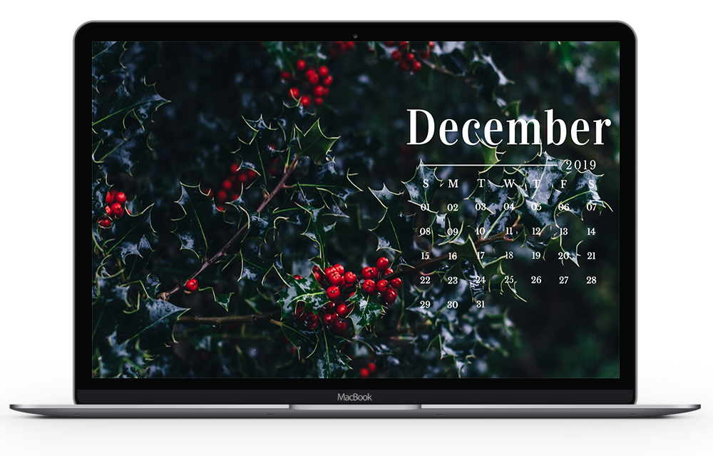 December Macbook Desktop Wallpaper - Holly Berry - HD Wallpaper 