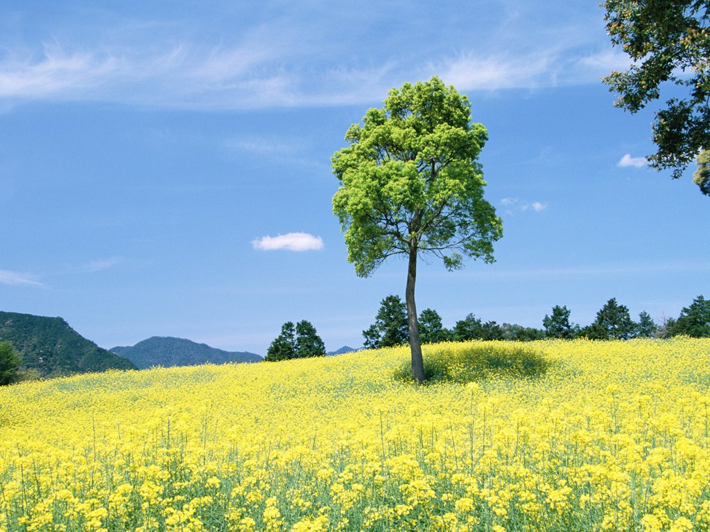 People In Nature - HD Wallpaper 